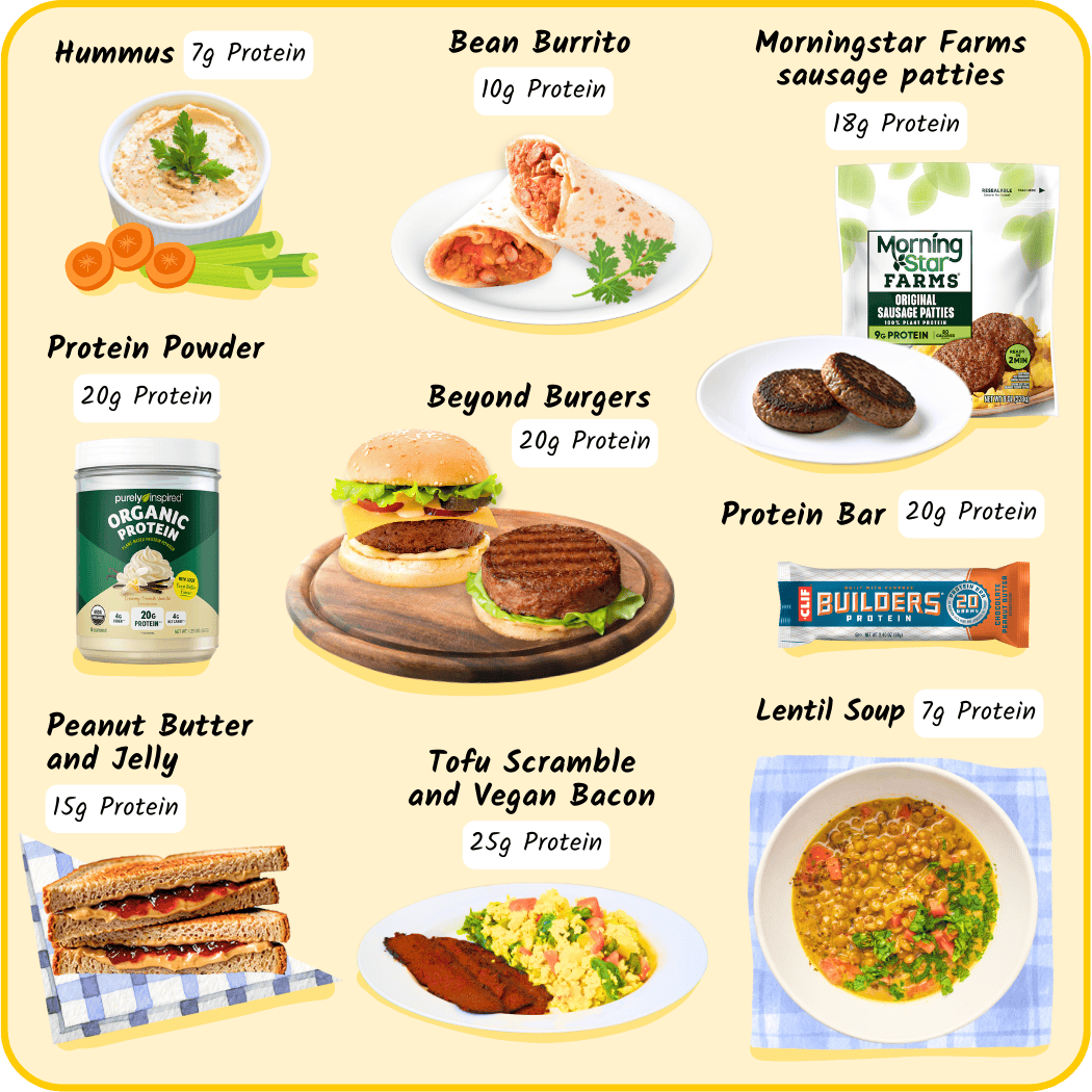 High-protein entrees: hummus 7 g; bean burrito 10 g, Morningstar Farms sausage patties 18 g, protein powder 20 g, Beyond burgers 20 g, protein bar 20 g, peanut butter and jelly 15 g, tofu scramble and vegan bacon 25 g, lentil soup 7 g per serving